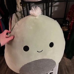 “16 KellyToy turtle squishmellow